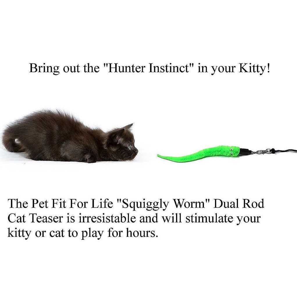Cat Wand Toy 5-Piece Worm Teaser M95892