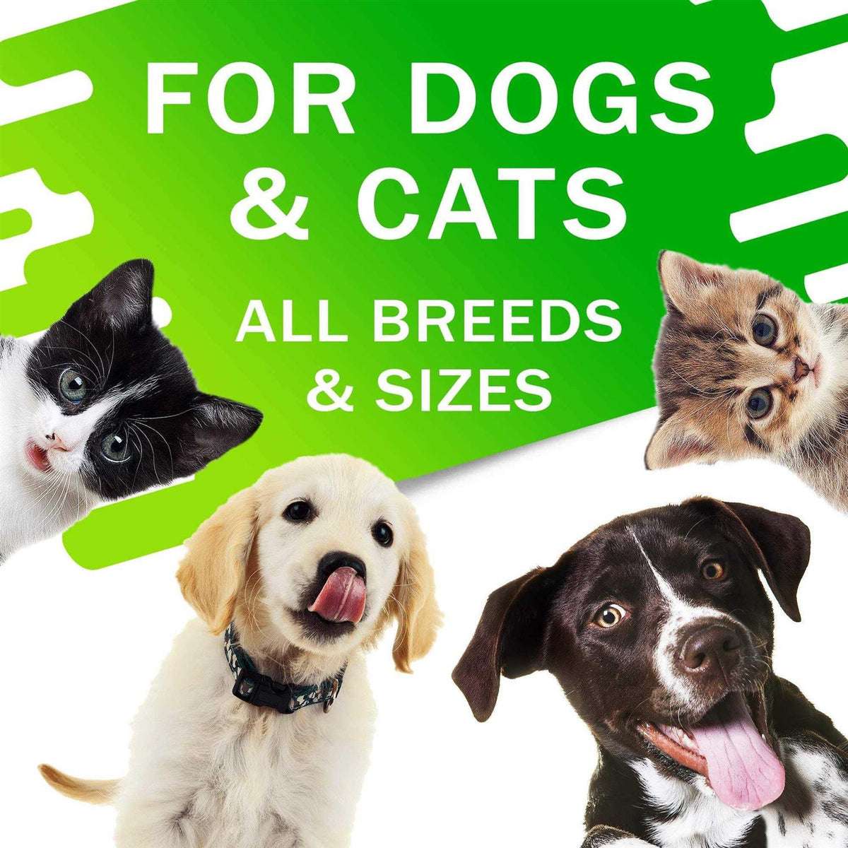 Kennel Cough Drops for Dogs and Cats 2oz Herbal Remedy Y536548