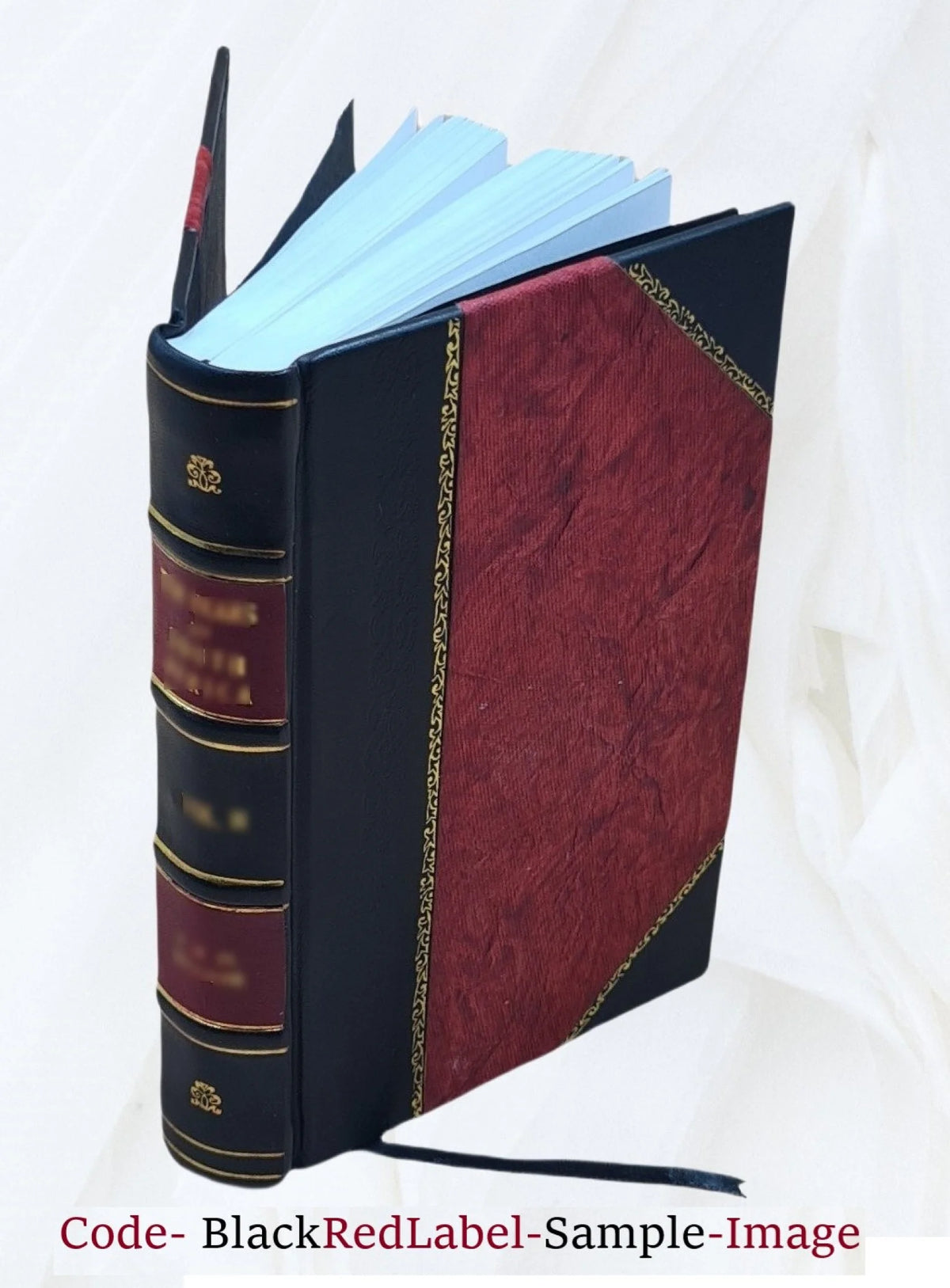 Leather Bound Romanzo B233