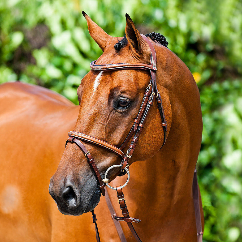 Padded Flash Bridle X70314