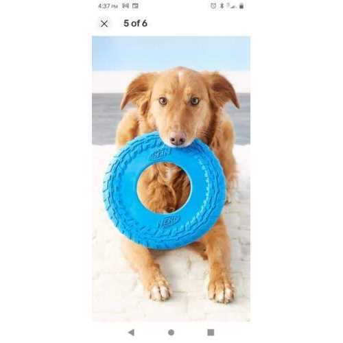 Dog Toy H5774
