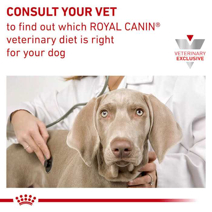 Selected Protein Adult Dry Dog Food V871125