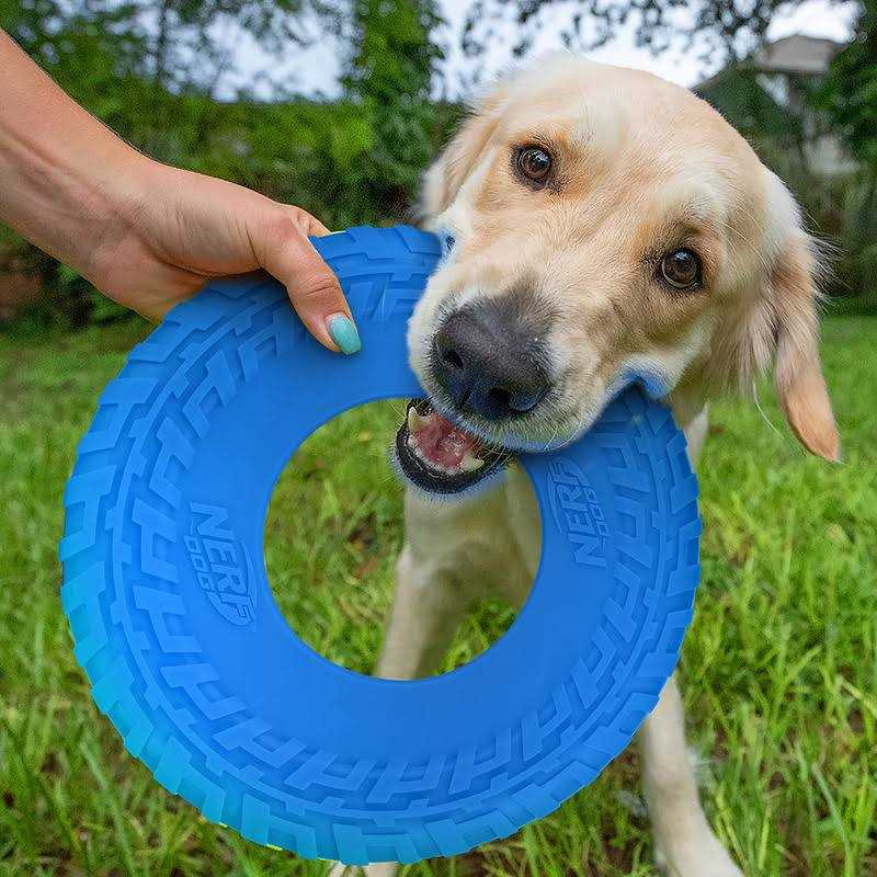 Dog Toy H5774